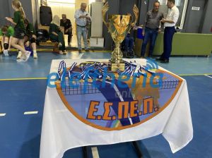 messiniakosgynaikesaponomiprwtathlimatosf10_result